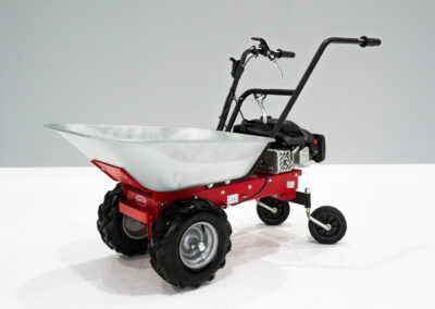 Transporter Roteco Carry